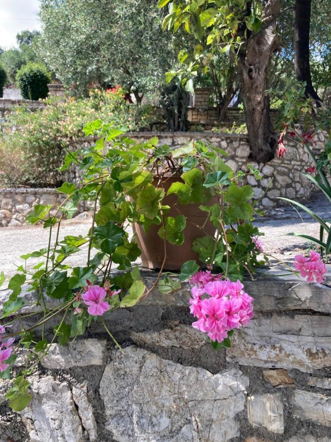 Aliki'S Comfortable Holiday Apartments-Great Location Nisaki  Bagian luar foto