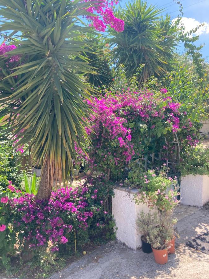 Aliki'S Comfortable Holiday Apartments-Great Location Nisaki  Bagian luar foto
