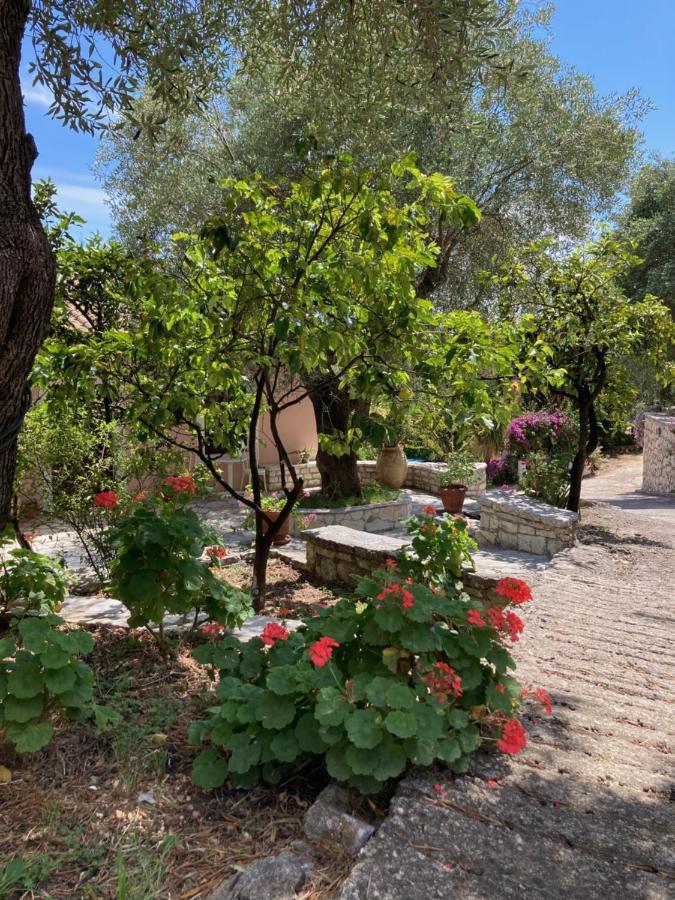 Aliki'S Comfortable Holiday Apartments-Great Location Nisaki  Bagian luar foto